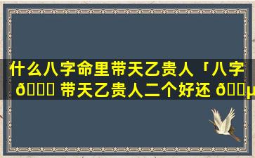 什么八字命里带天乙贵人「八字 🍁 带天乙贵人二个好还 🐵 是一个好」